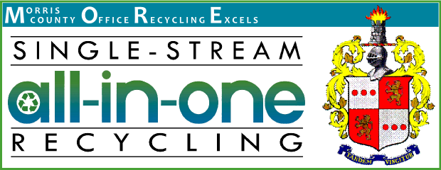 Image Of Morris County Office Recycling Excels Banner - Morris County, New Jersey (620x240), Png Download