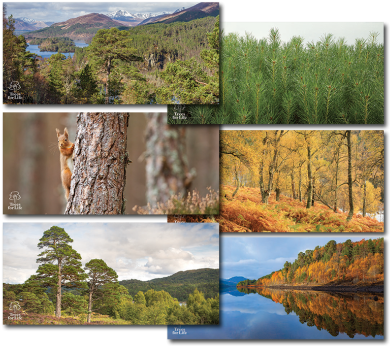 Postcard Pack - Postcard (480x360), Png Download