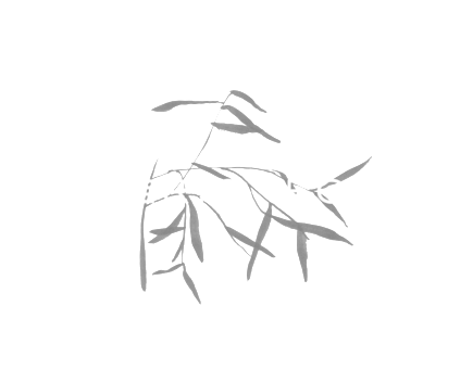 Fforest Intro 02 - Sketch (1000x667), Png Download
