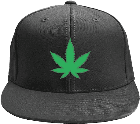 Weed Plant Snapback - Closer Hat (505x600), Png Download