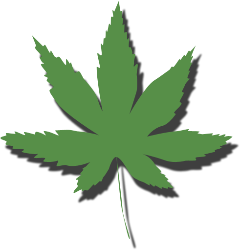 Home - Cannabis (523x538), Png Download