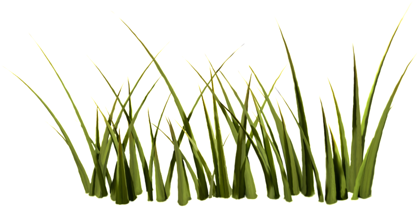 Growing Weed Transparent - Portable Network Graphics (1024x627), Png Download