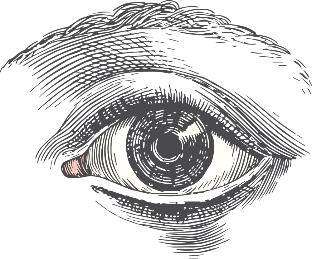 Quality Art Lessons - Cross Hatching Drawing Of Eyes (1000x832), Png Download