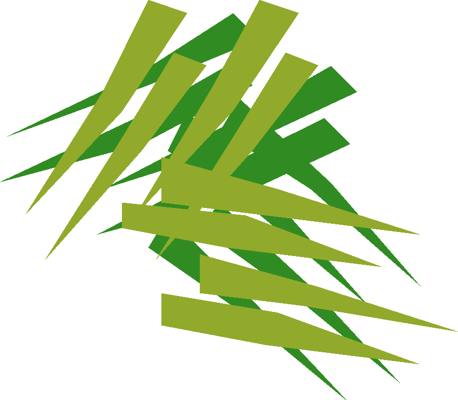 Snake Weed Detail - Grass (894x781), Png Download