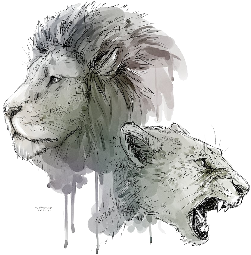 Lioness Roar Transparent Background 2 - Png Animal Image Transparent Background (894x894), Png Download
