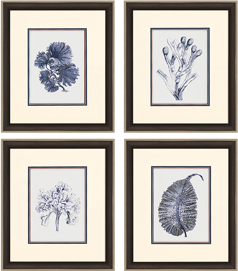 Indigo Kelp Pk/4 - Special Delivery Olympic Paint (550x550), Png Download