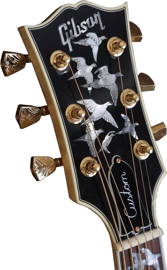 Gibson Headstock Transparent Png (823x900), Png Download