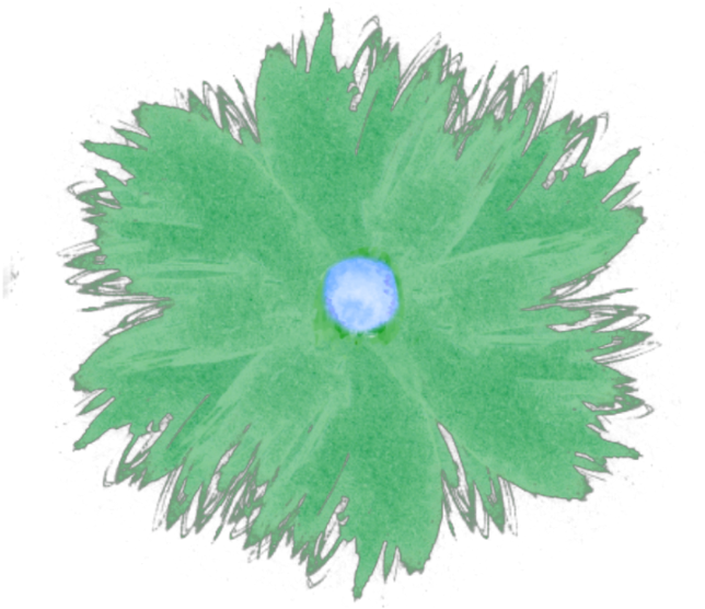 Draw Picture Green Blue Watercolor Flower Nature Artist - Grass (1024x1024), Png Download
