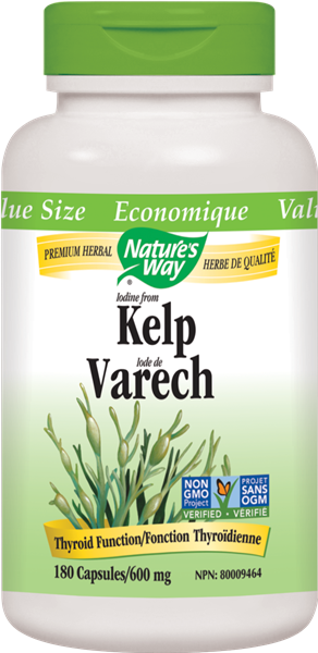 Kelp - Natures Way (292x600), Png Download