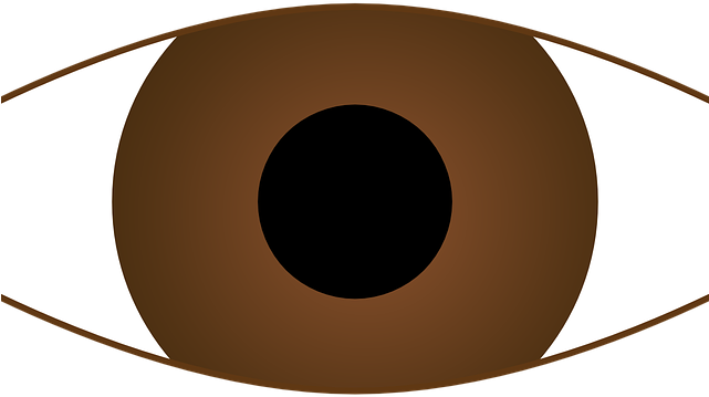 Brown Eyes Clipart - Clip Art (640x480), Png Download