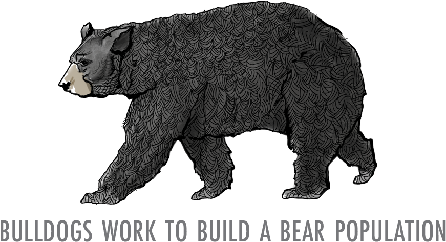 When President Theodore Roosevelt Hunted In The Mississippi - Mississippi (940x547), Png Download