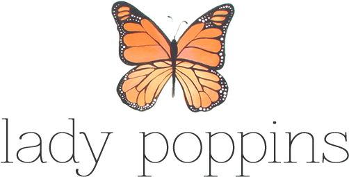 Visit The Shop - Monarch Butterfly (900x366), Png Download