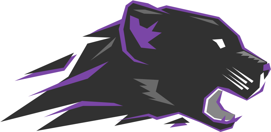 Pantera E Sports (999x740), Png Download