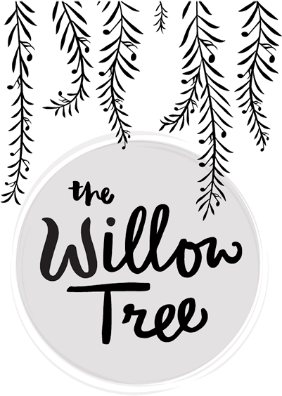 Willow Tree With Dave Eggar - Willow Tree Johnson City (400x579), Png Download