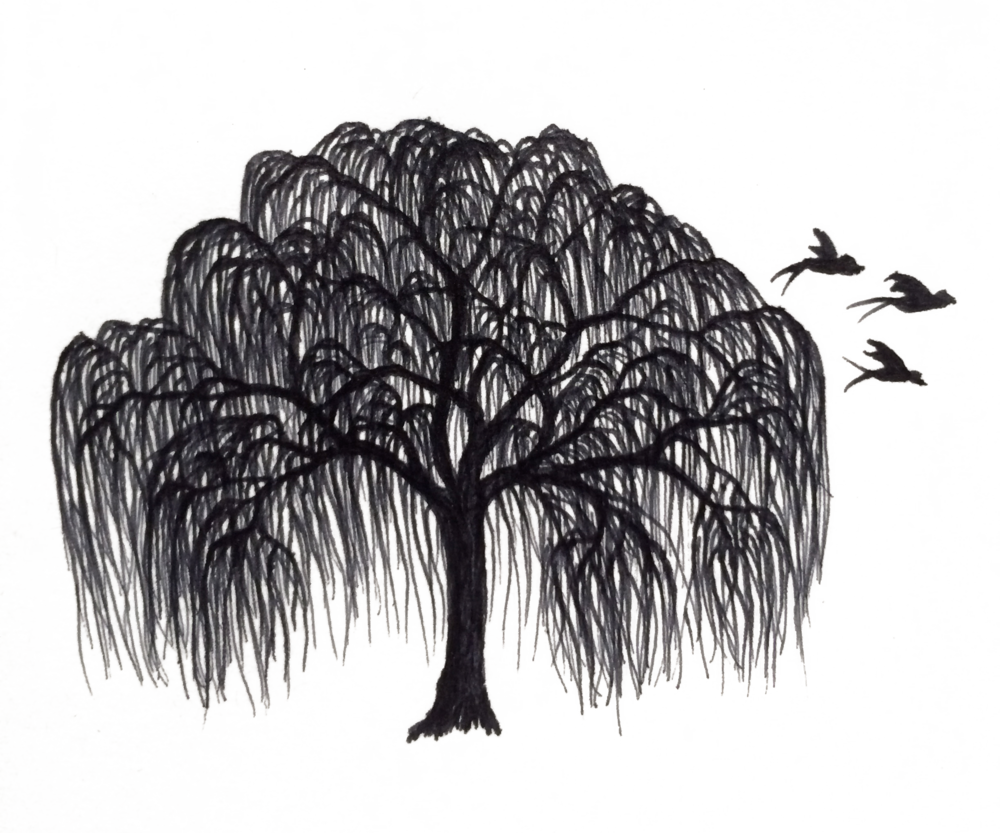 Tree Ink - Willow Tree Logo Png (1000x833), Png Download