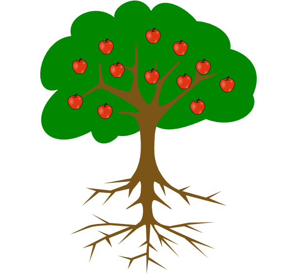 Tree Drawing With Fruits (600x563), Png Download