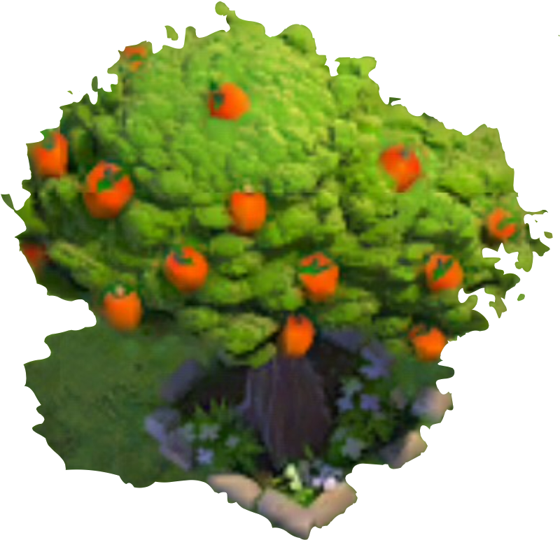 Fruit Tree - Png - Gourd (900x900), Png Download