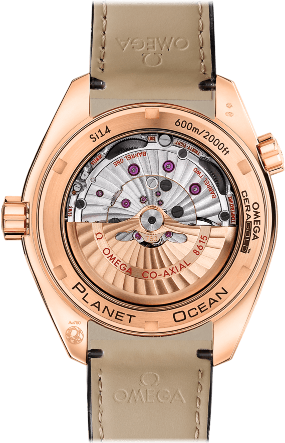 Planet Ocean 600m Omega Co-axial Gmt (800x1100), Png Download