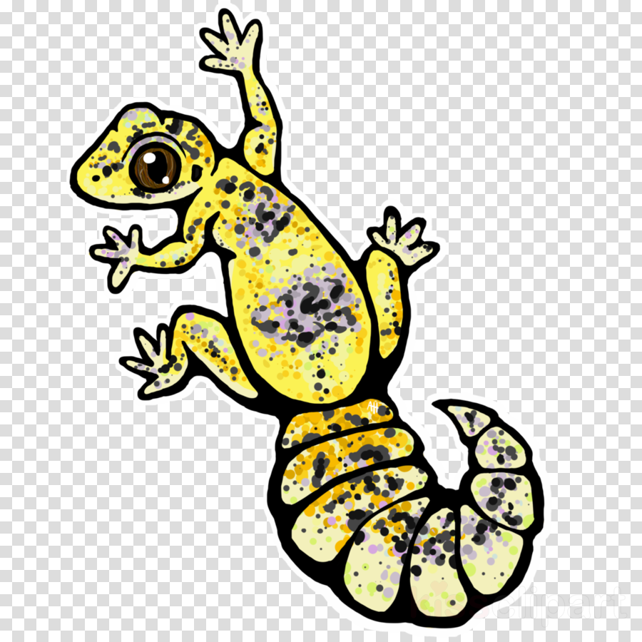 Leopard Gecko Animated Clipart Common Leopard Gecko (900x900), Png Download