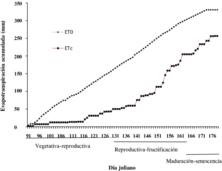 Evapotranspiracin Acumulada De Etc Y Et0 En El Cultivo (850x605), Png Download
