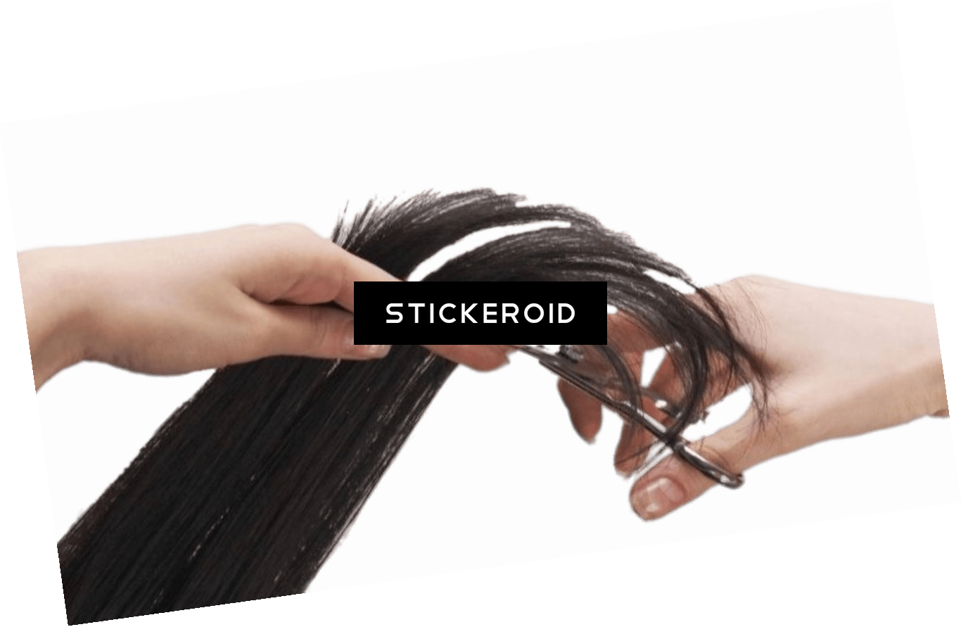 Download Hair Cutting | Transparent PNG Download | SeekPNG