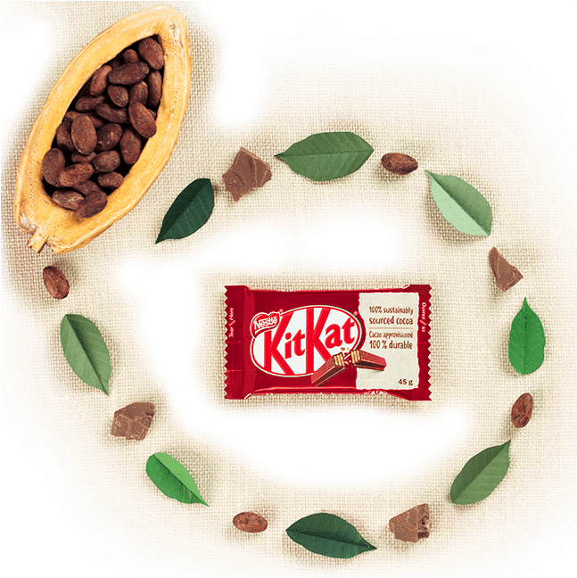 Learn About Our Commitment To Sustainable Cocoa Farming (646x657), Png Download