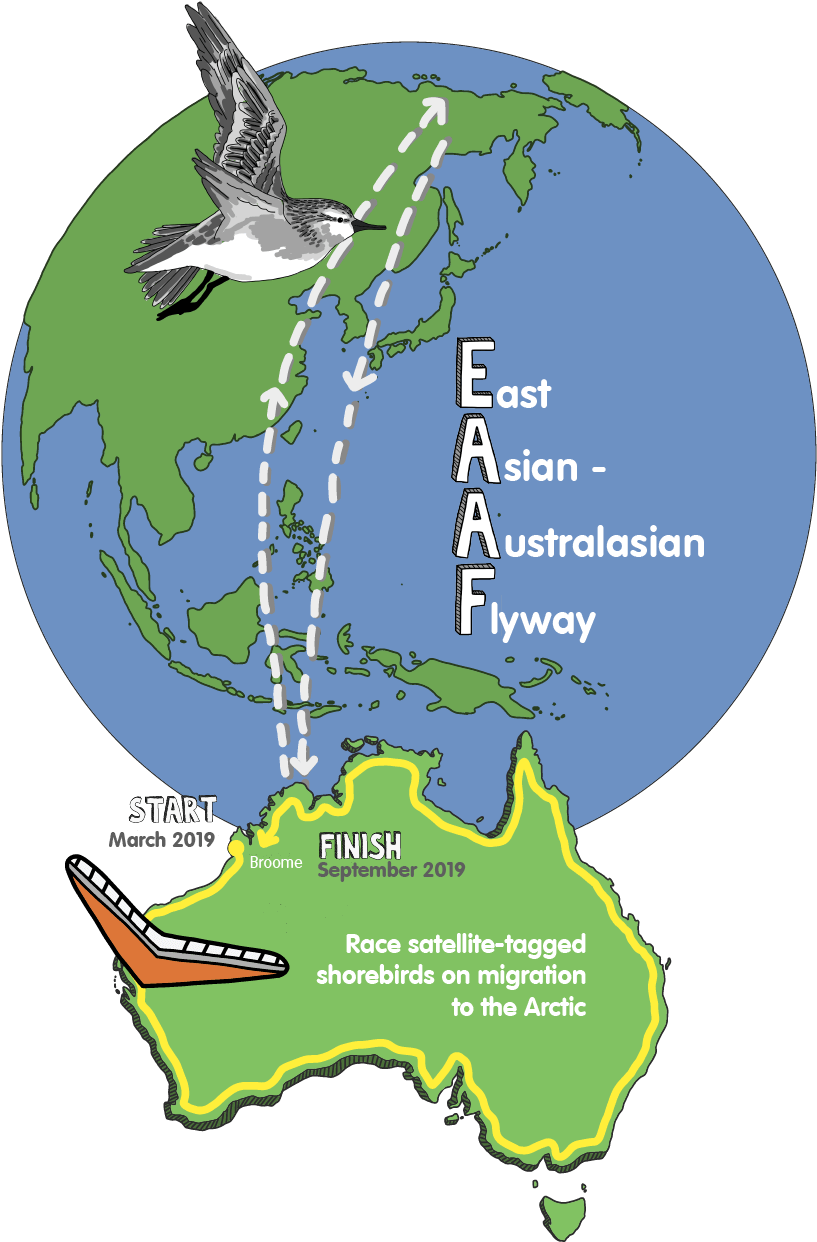 75 Stages (934x1308), Png Download