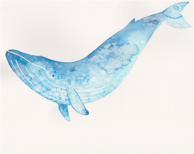 Blue Whale Art (640x640), Png Download