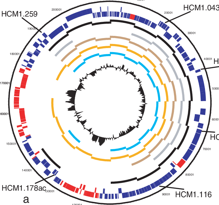 Pcr Confirmation Of Microarray Results (704x657), Png Download