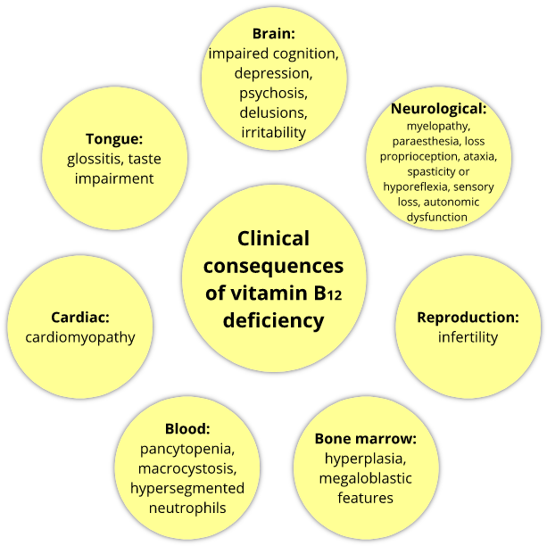 Descriptionurl="http - //2017 - Igem - Org/file - B12 (622x626), Png Download