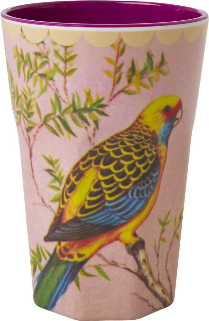 Vintage Budgie Print Tall Melamine Cup Rice Dk (1024x1024), Png Download