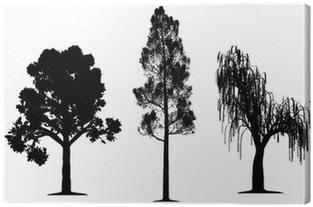 Oak, Forest Pine And Weeping Willow Tree Canvas Print - Tree Silhouettes (400x400), Png Download