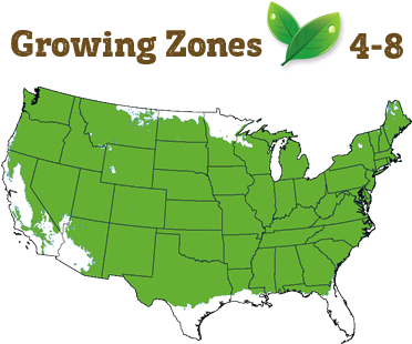 Shipping Restriction - Seven Days Battle Us Map (400x322), Png Download