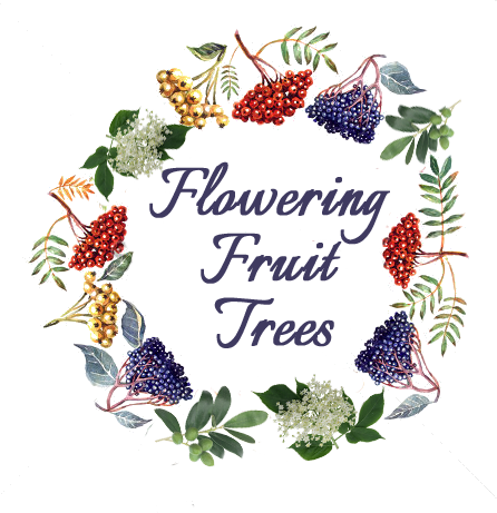 Fruit Trees For Small Gardens - Fruit (446x461), Png Download