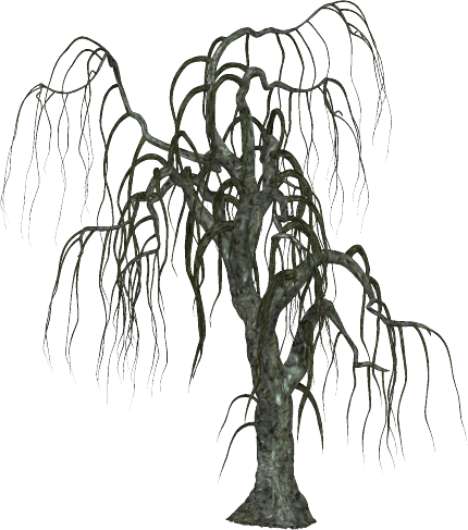 Best Of Pictures Of A Willow Tree Halloween - Transparent Background Halloween Tree (430x487), Png Download