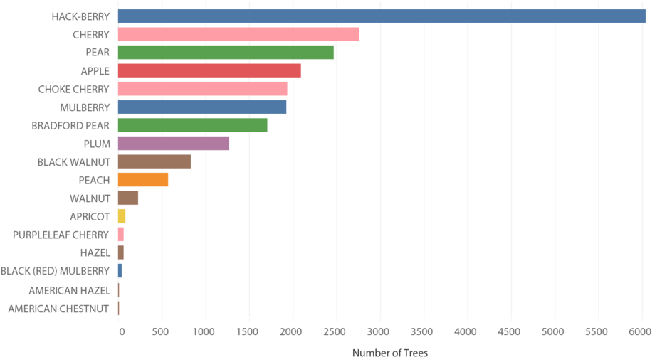 Treecount-01 - Graph Supply Chain And Logistics (1000x566), Png Download