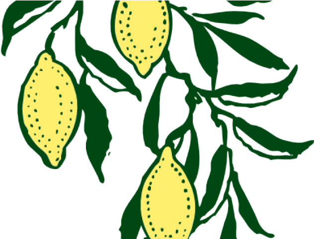 Free On Dumielauxepices Net Vine - Clipart Free Tree Lemon (640x480), Png Download