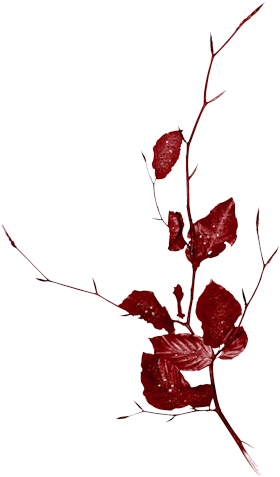 I Like The Stems Of These Flowers - Blue Branches Png (305x500), Png Download