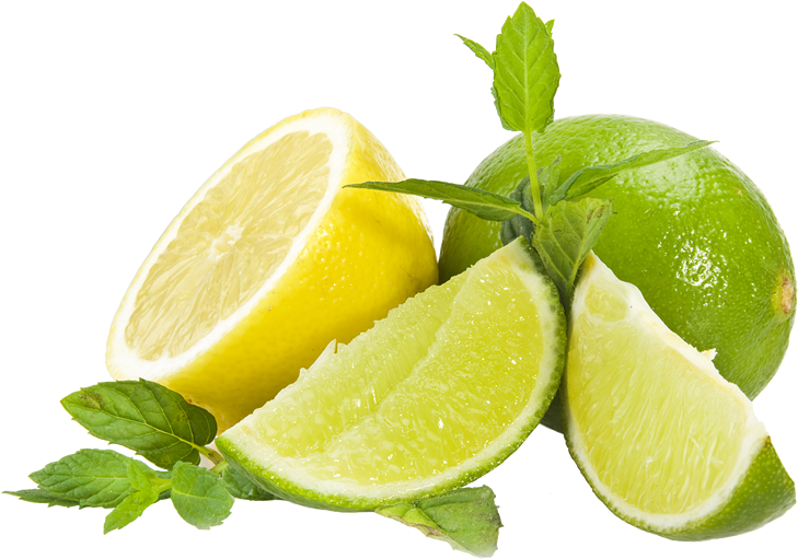 Lemon And Lime Png Black And White - Become Normal Uric Acid (729x511), Png Download