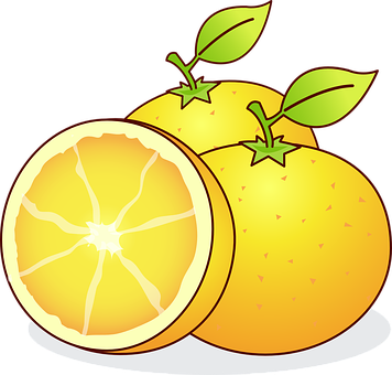 Oranges Bahia Orange Citrus Sinensis Citru - Desenho De Laranja (356x340), Png Download