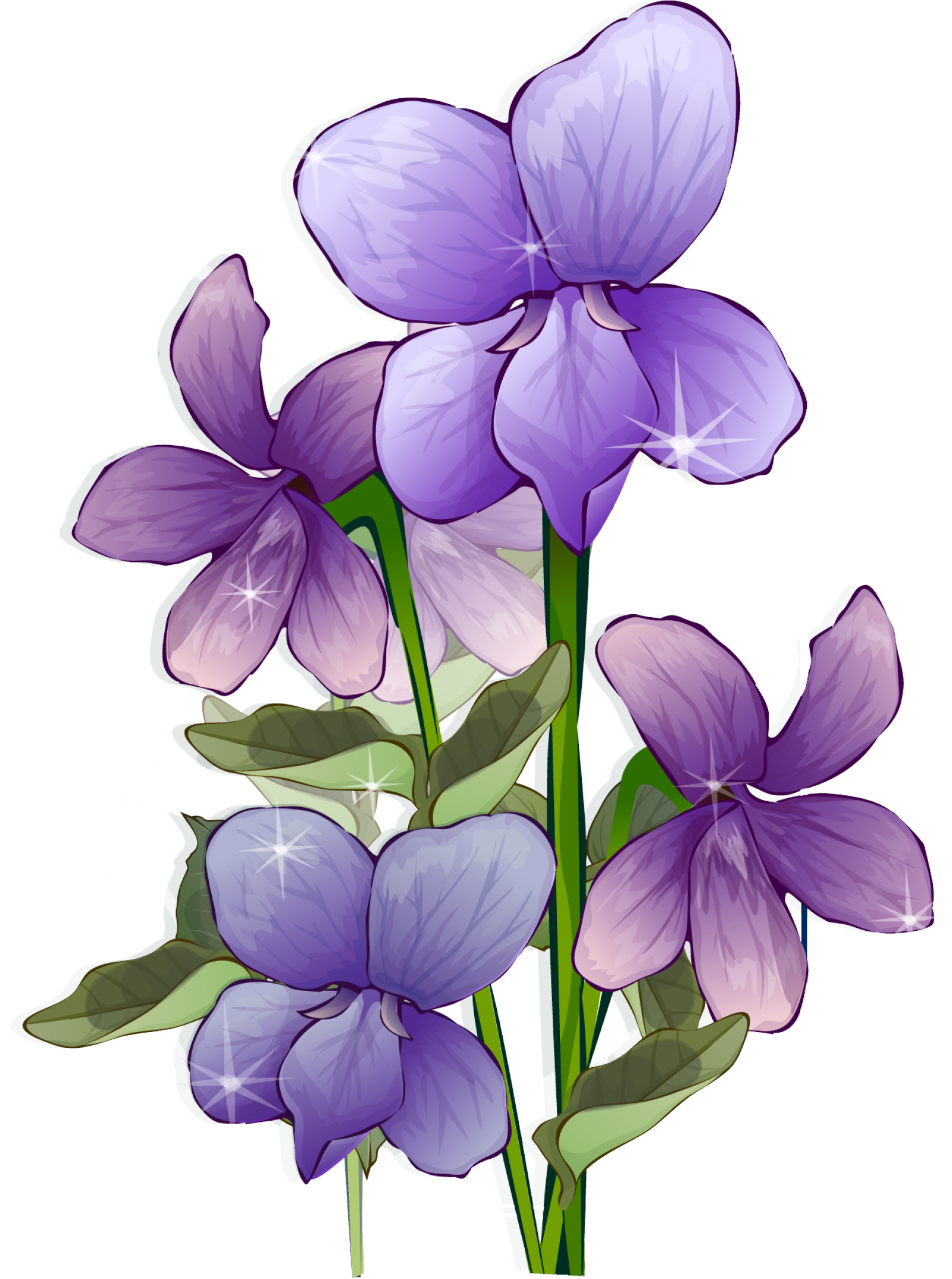 Download Big Image - Beautiful Flower Photo Frames In Full Hd (1600x2149), Png Download