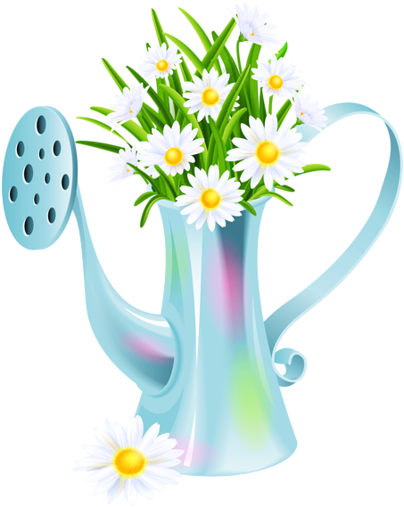 White Flower With Kettle Vector - Download Photo Flower Drawing (477x600), Png Download
