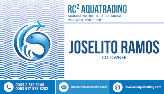 Fish Export (525x300), Png Download