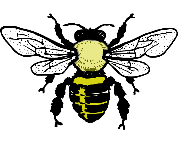 Little Bee Clip Art At Clker - Royalty Free Bee (600x481), Png Download