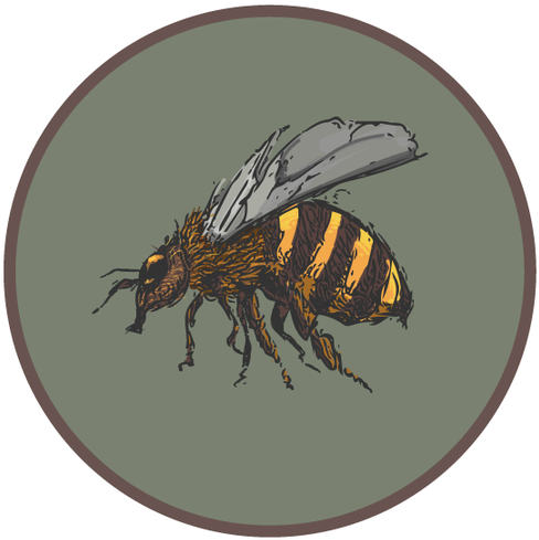 Collection Of Free Bee Drawing Pencil Download On Ubisafe - Drawing (511x510), Png Download