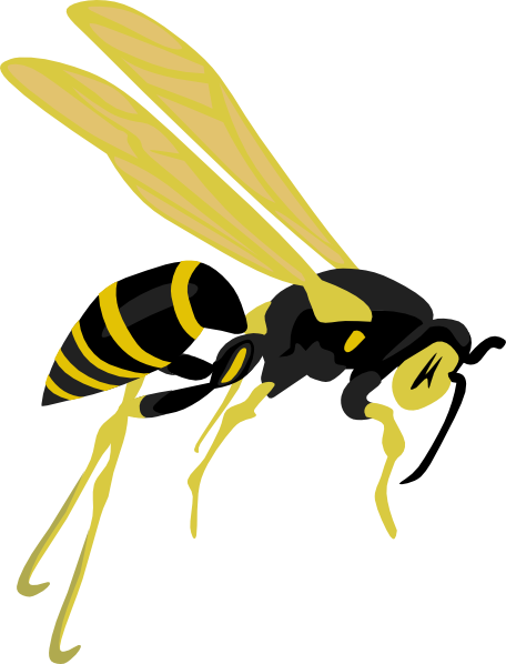 Bee Clipart Wasps - Clip Art Wasp (456x598), Png Download