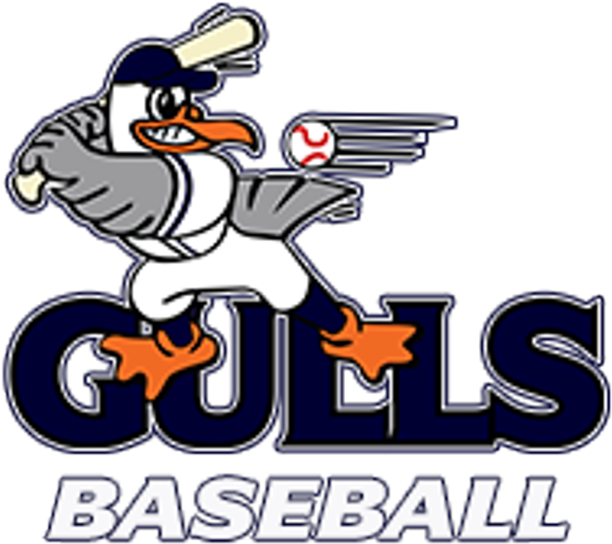 Baseball Png Black And White Src - Newport Gulls (1024x1005), Png Download