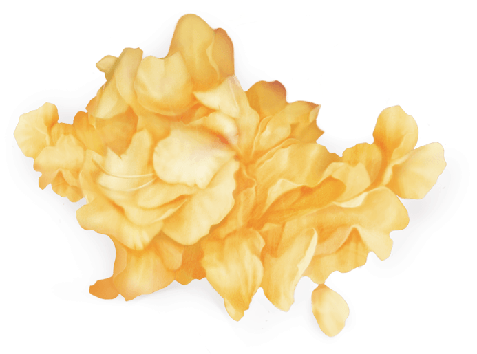 Wildflowers - Troye Sivan Flowers Png (700x530), Png Download