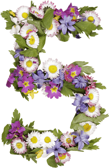 Wildflowers Font - Number 5 Flower Png (595x595), Png Download