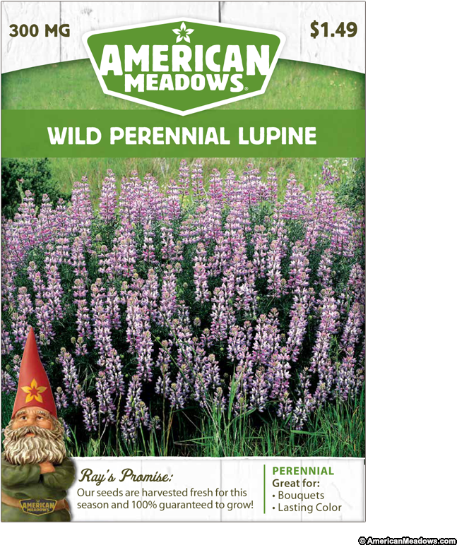 Welcome To Wildflowers Collection - Shrub (800x800), Png Download